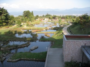 IMG_0268