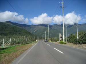 IMG_0278