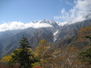 IMG_0330